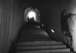 A grainy black and white photo of a stairway inside of a castle. Figures up the stairs, some distance away, are emerging into the light outside