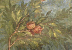 A painting of a pomegranate still on the branch done al fresco on an ancient and cracking wall