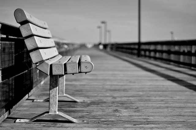 Bench by a bay. Photo by Julie Skarwecki/Flickr