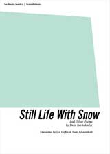 Still Life with Snow