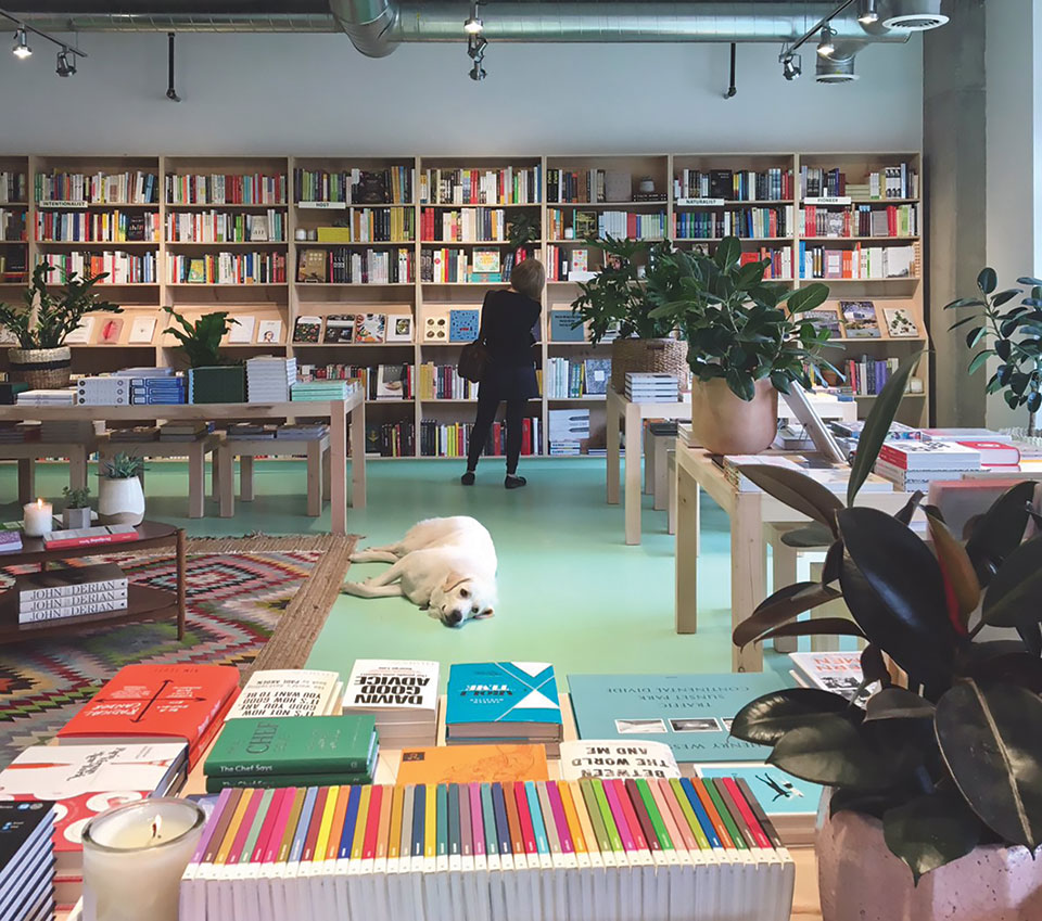 Bookcases and a dog inside Commonplace Books in Oklahoma City.