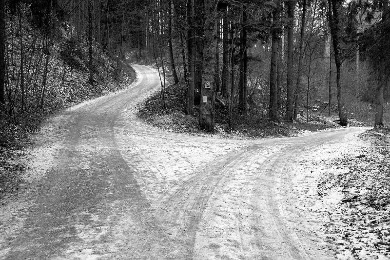 Snowy roads at a crossroads with trees. Photo: Daniel Ebneter/Flickr
