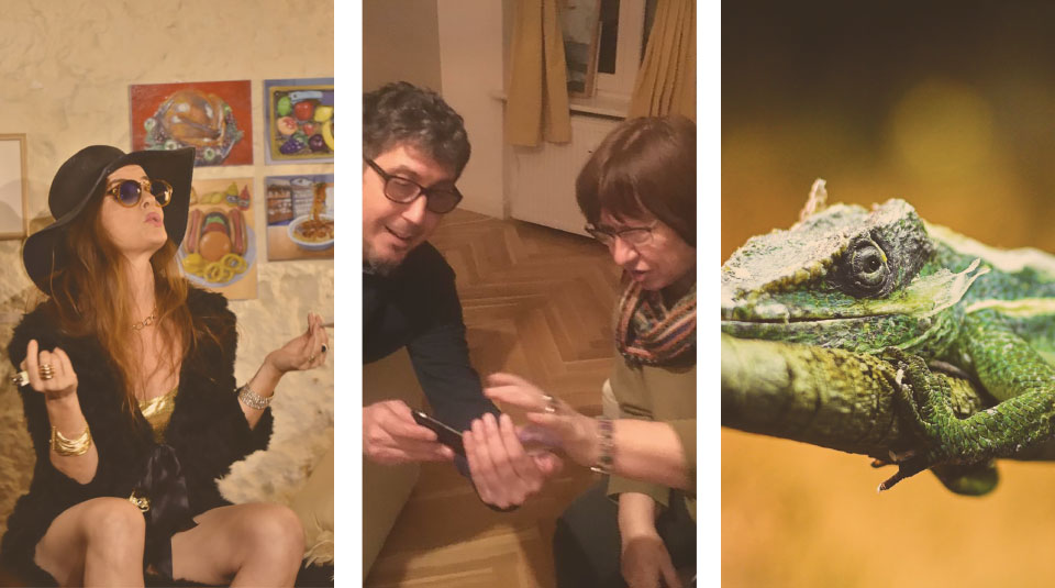 A triptych of (left to right) a woman in a broad brimmed hat, a man and a woman looking at something on a phone, and an iguana