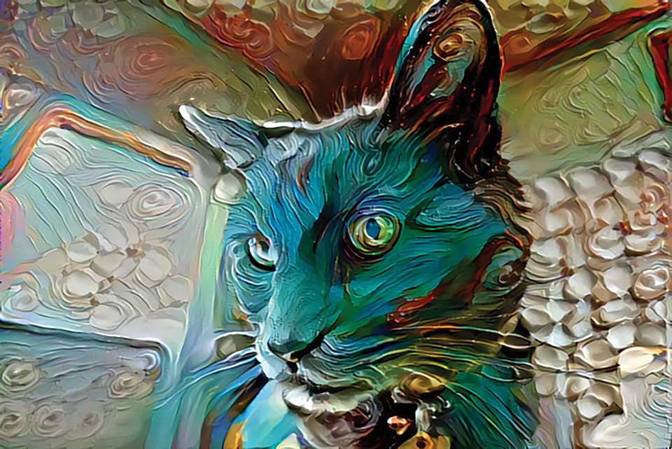 A photograph of a cat digitally altered to look surreal
