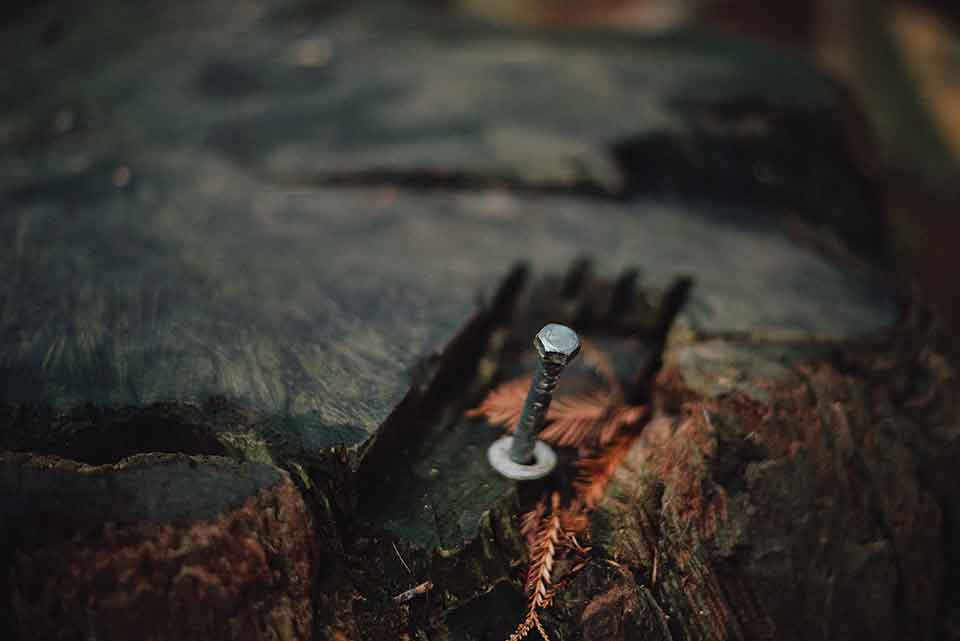 A close up photograph of a bolt and washer jutting from a rough, wet piece of wood