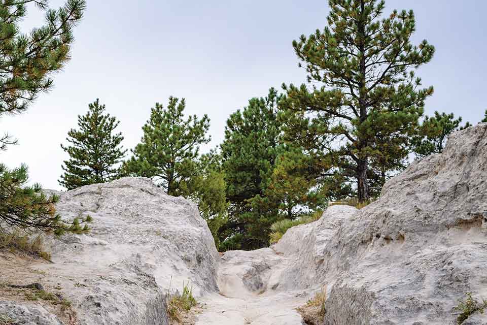 Oregon Trail Ruts State Historic Site. A photograph looking up a stone trail that crests in a ledge covered in evergreen trees.
