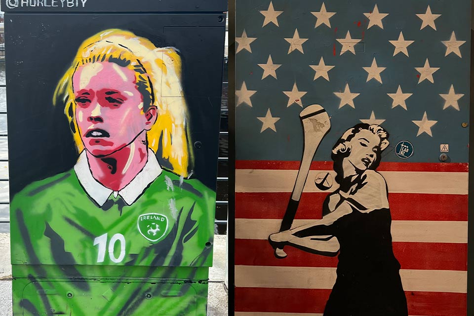 Murals on the electricity boxes in Cork