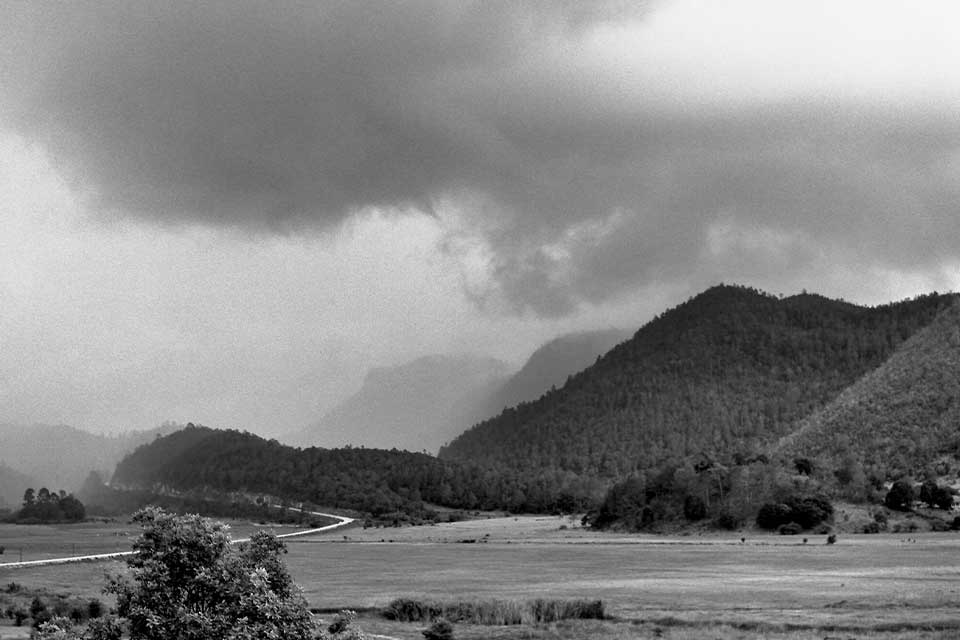 A moody black and white photo of a landscape at the foot of a tree covered mountain