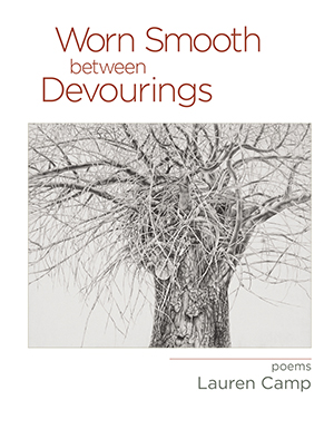 The cover to Worn Smooth between Devourings by Lauren Camp