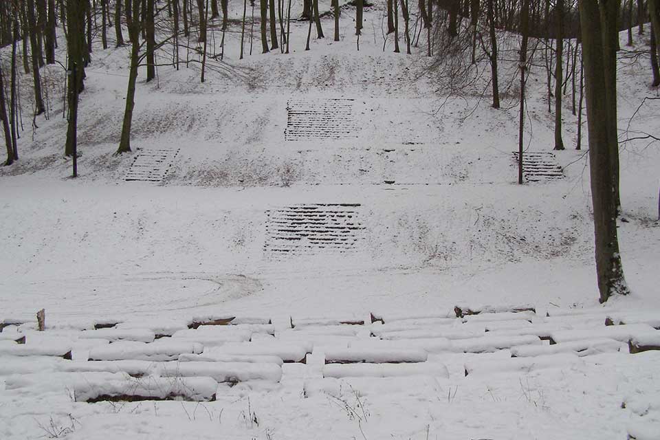 A forest with snow on the ground. Steps can just be seen through the snow