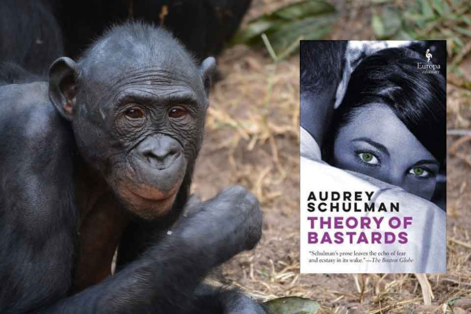 A photograph of bonobo with the cover to Audrey Schulman's A Theory of Bastards inset