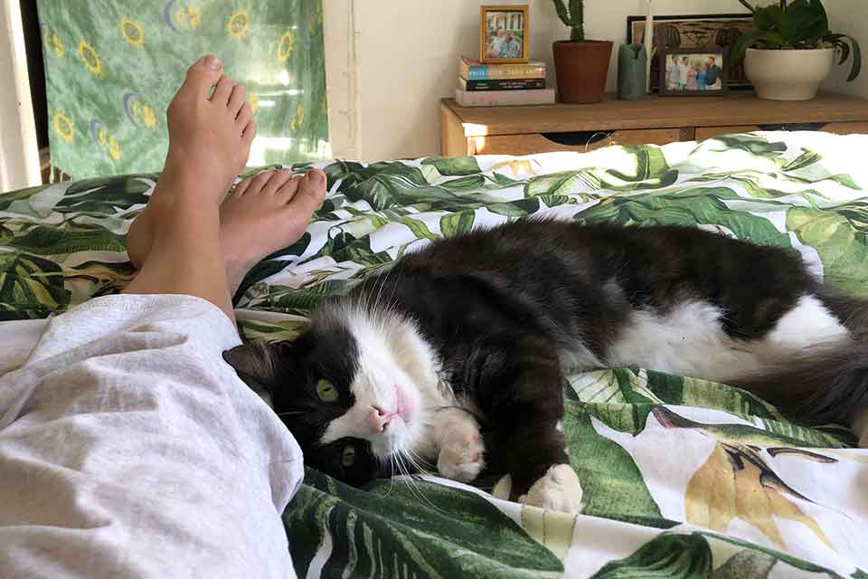 A photograph taken POV style as a pair of legs stretches out on a bed, nuzzled by a cat who is looking at the photographer