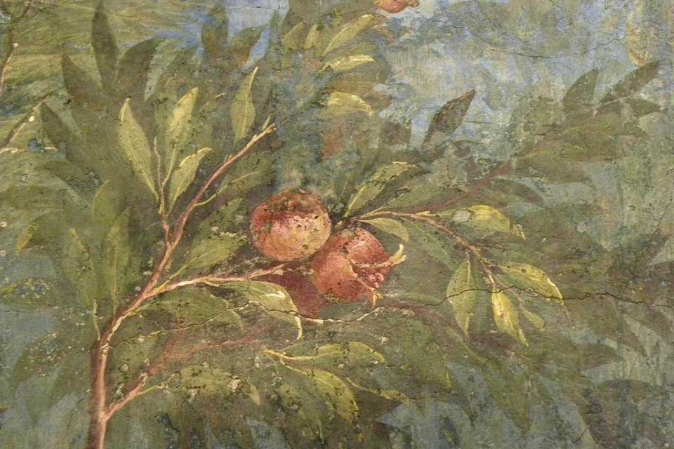 A painting of a pomegranate still on the branch done al fresco on an ancient and cracking wall