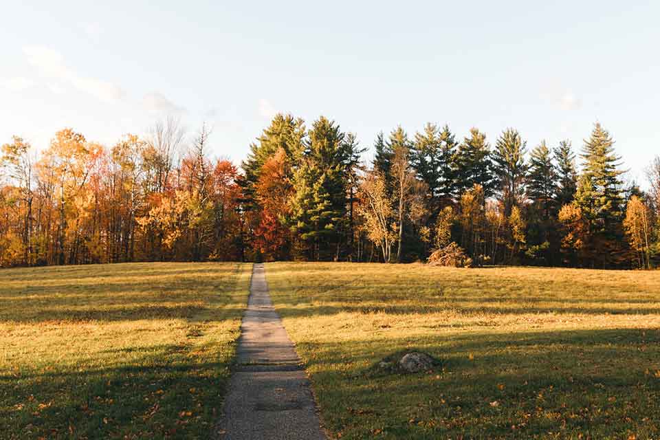 A path in Camp Thorpe, Goshen, Vermont 