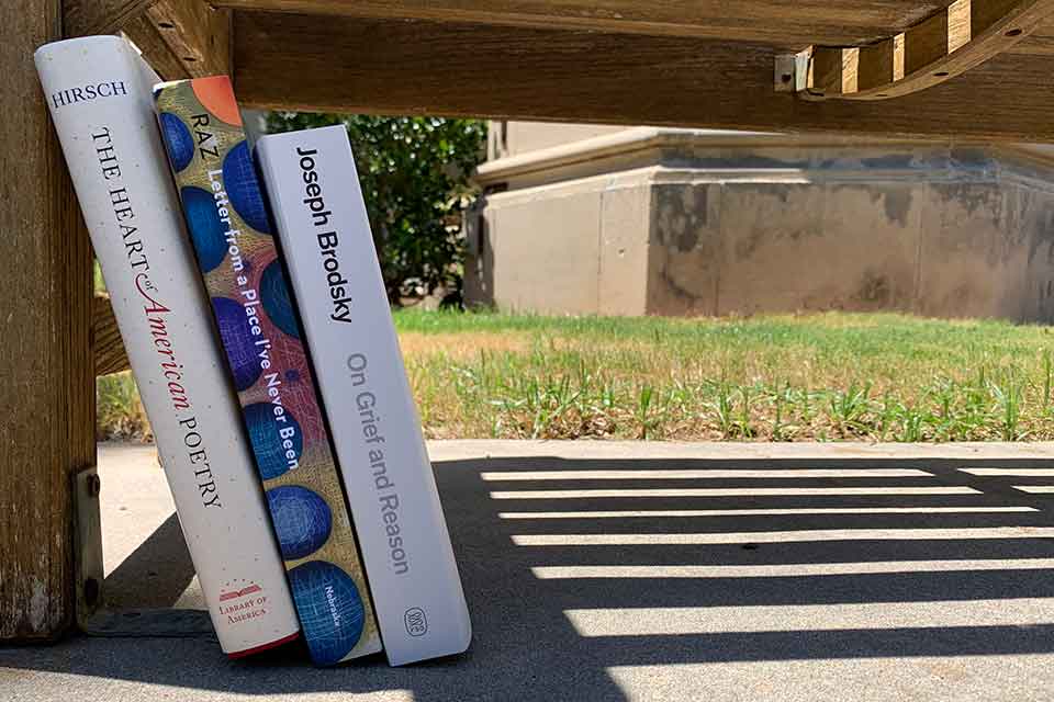 A photograph of the three books discussed below, spines facing the viewer, in shade beneath a bench outside