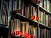 Library bookshelf with sunlight on book spines. Photo by Lubos Huska/Pixabay.