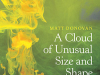 The cover to A Cloud of Unusual Size and Shape by Matt Donovan