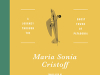 The cover to False Calm: A Journey through the Ghost Towns of Patagonia by María Sonia Cristoff