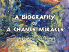 The cover to A Biography of a Chance Miracle by Tanja Maljartschuk