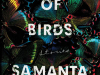 The cover to Mouthful of Birds by Samanta Schweblin