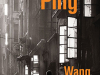 The cover to Fu Ping by Wang Anyi