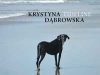 The cover to Tideline by Krystyna Dąbrowska
