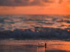 A photograph of a bottle overturned on a beach at sunset