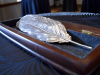 A feather, cast in silver, rests in a velvet lined box