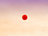 A red balloon hovers mid-frame against a dusking sky