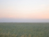 A verdant landscape stretches toward the horizon