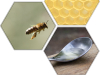 Images of a honey bee, a honey comb, and a spoon inside of hexagonal frames