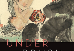 The cover to Under Brushstrokes by Hedy Habra