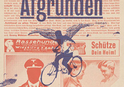 The cover to Afgrunden by Kim Leine