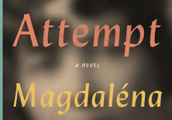 The cover to The Attempt by Magdaléna Platzová