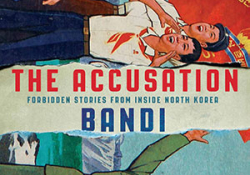The cover to The Accusation: Forbidden Stories from Inside North Korea by Bandi