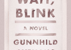 The cover to Wait, Blink: A Perfect Picture of Inner Life by Gunnhild Øyehaug