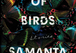 The cover to Mouthful of Birds by Samanta Schweblin