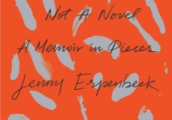The cover to Not a Novel: A Memoir in Pieces by Jenny Erpenbeck 