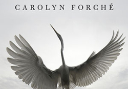 The cover to In the Lateness of the World by Carolyn Forché