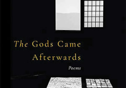 The cover to The Gods Came Afterwards by Sharmistha Mohanty