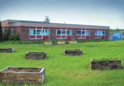 Small raised bed gardens dot the lawn of an empty schoolyard