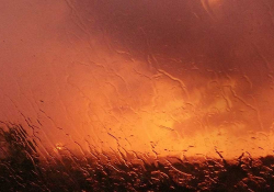 A photograph of an orange hued landscape as seen through a rain-swept window