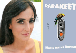 A photo of Marie-Helene Bertino juxtaposed with the cover to her book, Parakeet