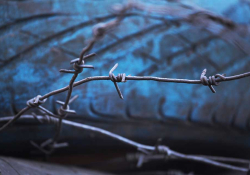 A photograph of a skein of barbed wire against an icy blue background