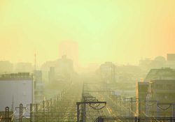 A Tokyo sunrise, the city bathed in dust