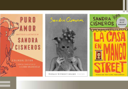 The covers to three of Sandra Cisnero‘s books, Puro Amor, Woman without Shame, and La Casa on Mango Street