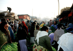 The Mercato in Addis where Moskowitz did much of her work in Ethiopia.