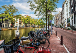 A photograph of a row of bikes parked by a canal that runs parallel to a picturesque city street in Amsterdam