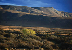 A photograph of a sparse, scrubby grassland at the foot of a mountain
