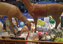 An imaginative holiday window display with faux-reindeer at The Wild Rumpus bookstore